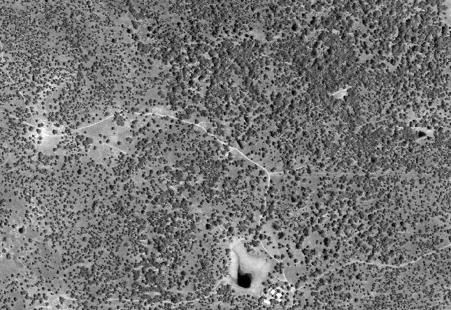 Remote View of the Savanna Site, IKONOS Panchromatic, 1 m resolution