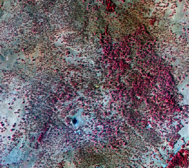 AVIRIS image of field site. Collected October, 2004