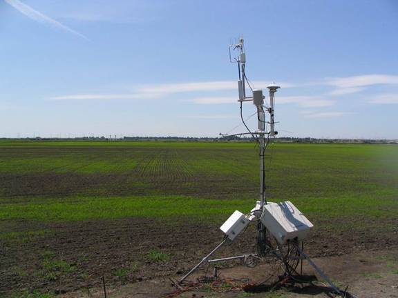 Eddy tower at newly sprouted rice field on Twitchell Island