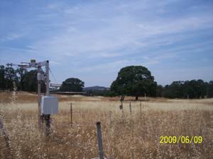 Vaira radiometer tower and big tree