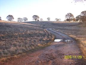 Puddles on dirt road at Vaira