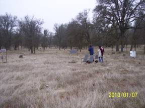 Dead grass and leafless trees near soil co2 site