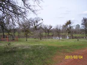Pond is full at Tonzi