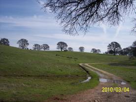 New grass and puddles on the road to Vaira