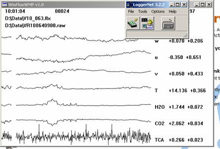 Vaira Gill sonic plots screen before downloading data