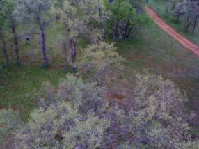 View of grass and road from Tonzi Tower