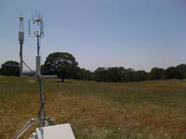 Eddy sensors and dying grass at Vaira