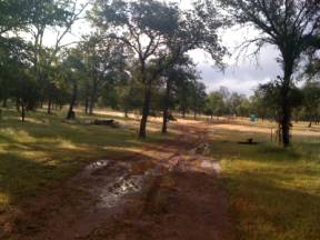 Muddy dirt road under trees at Tonzi