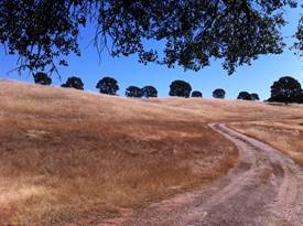Dirt road and hills of dead grass at Vaira