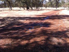 Puddles and shadows on dirt road at Tonzi