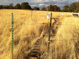 Broken cow fence at Vaira