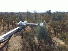 Radiometers over oak savanna