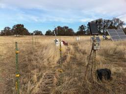 Vaira cow fence, eddy tower and solar panels