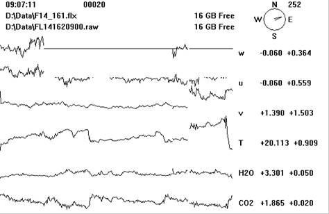 Floor Gill sonic plots screen before downloading data