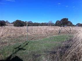 Green grass where it was mowed along the fence