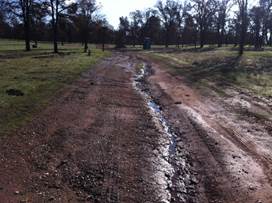 Water erosion in dirt road at Tonzi