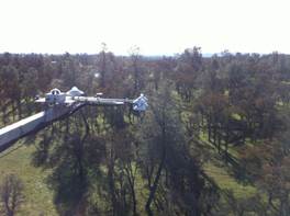 Radiometers and trees from tower top
