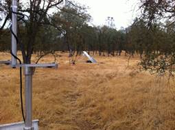 Part of Floor eddy tower, solar panels at oak savanna