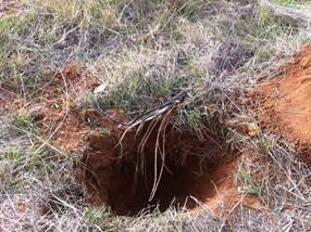 Hole in ground for soil samples
