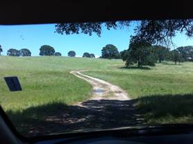 Dirt road through grassy hills