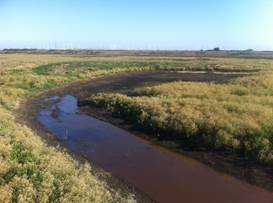 Water in ditch at new Sherman wetland