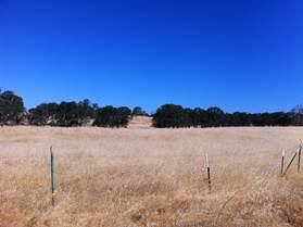 Fence in yellow pasture under blue sky