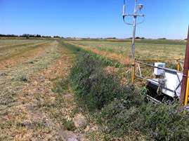 Eddy tower on edge of recently mowed alfalfa field
