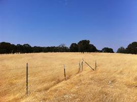 Fence in yellow grass under a blue sky
