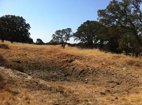 The small pond is dry