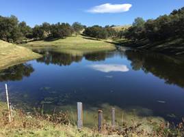 Mostly full big pond