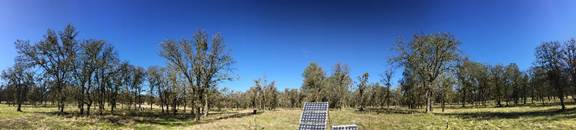 Panorama or oak savanna and solar panles at Tonzi