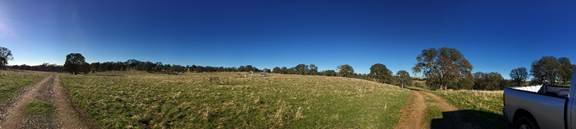 Panorama of green pasture and dirt road at Vaira
