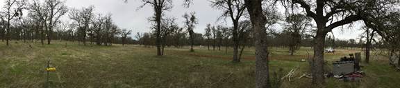 Panorama of the oak savanna near the Tonzi tower