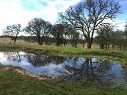Samll pond totally full of water