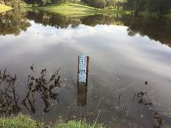 Staff gauge in the big Vaira pond