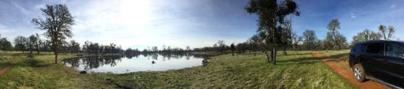 Panorama of Tonzi pond