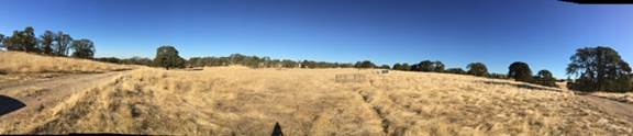 Panorama of dead grass pastrue
