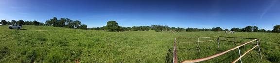 Panorama of green pasture and biomass fence