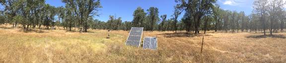 Panorama of oak savanna with floor solar panles