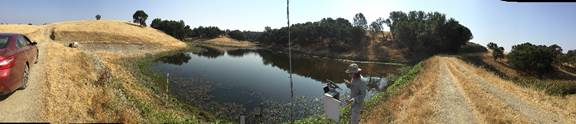 Panorama of Joe at the Vaira pond