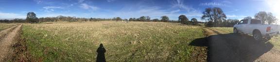 Panorama of new grass at Vaira