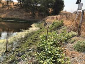 A path with trees on the side of a river  Description automatically generated