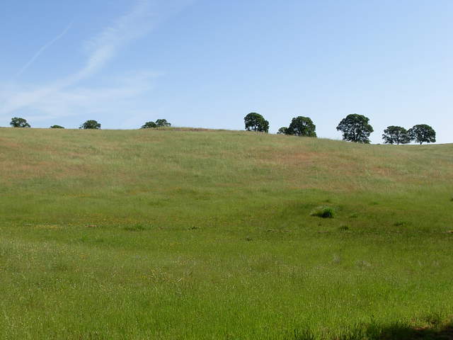 From the entrance gate of Vaira ranch. Slightly cloudy, and partly looks reddish