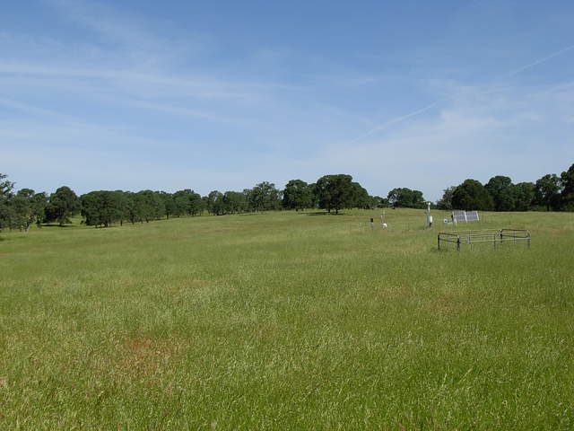 Vaira flux site. Slightly cloudy sky