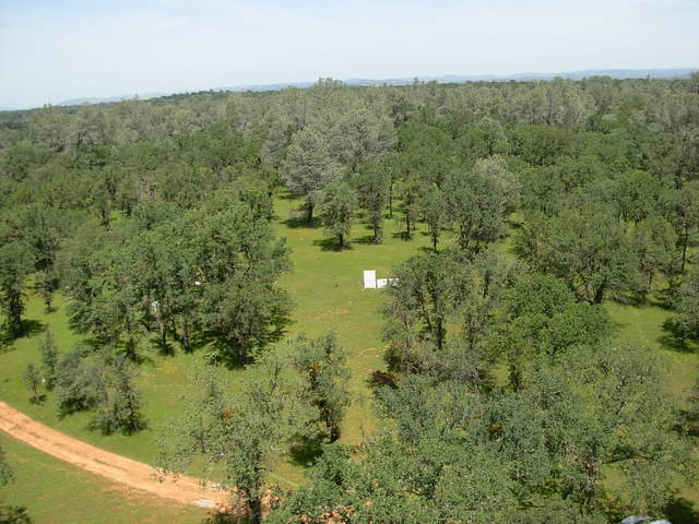 From the top of flux tower