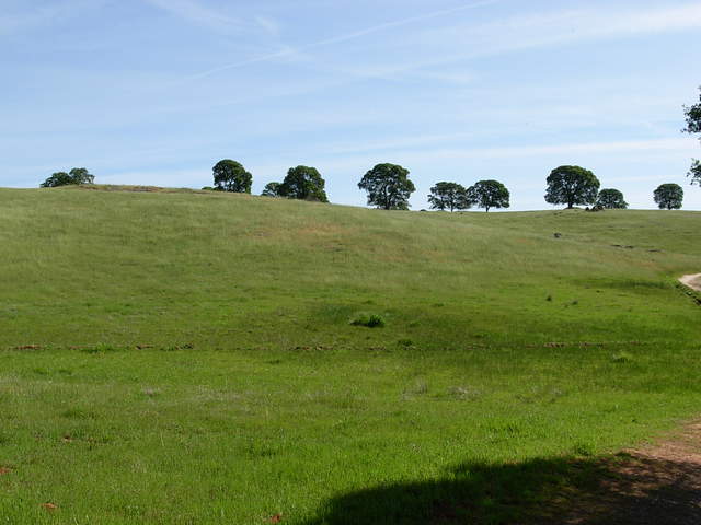 From the entrance gate of Vaira ranch