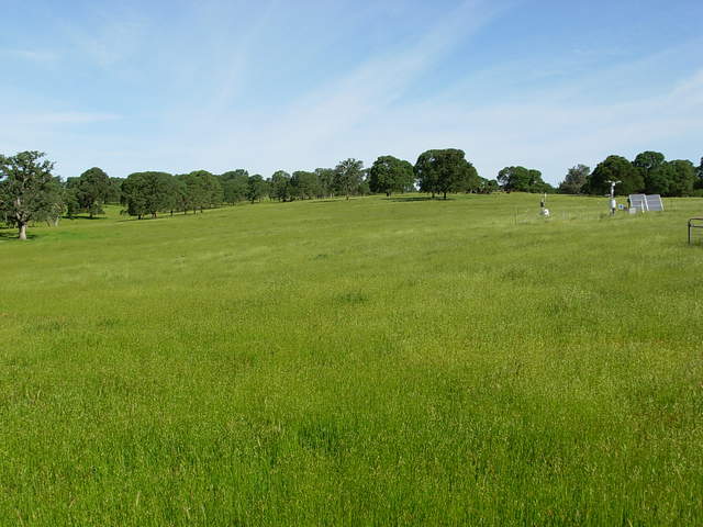 Vaira flux site. Partly cloudy, shiny and moderate wind. Much more grown grass
