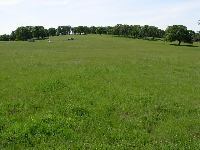 Vaira flux site. Rent car is subaru