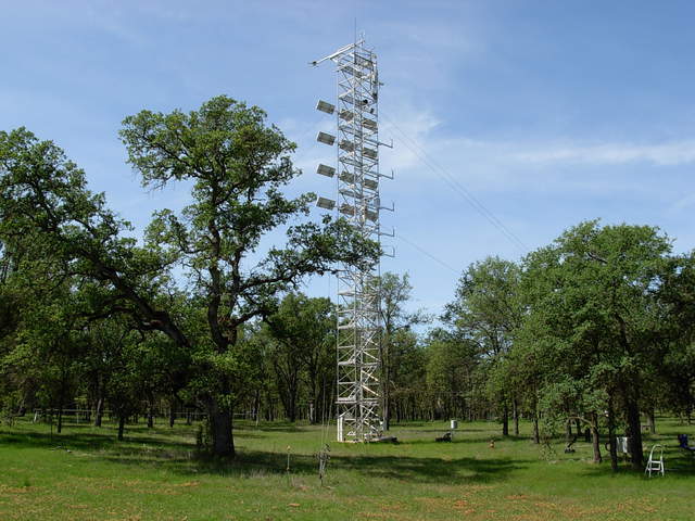 Tonzi flux tower