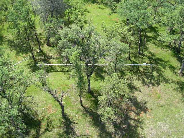 Tram system from the top of flux tower